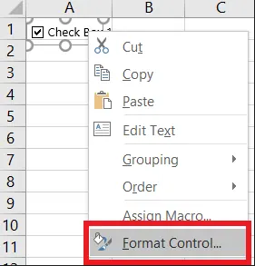 Format Control of Checkboxes 11