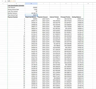 Amortization schedule table. 15