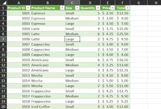 分析準備完了のクリーンなExcelテーブル 2