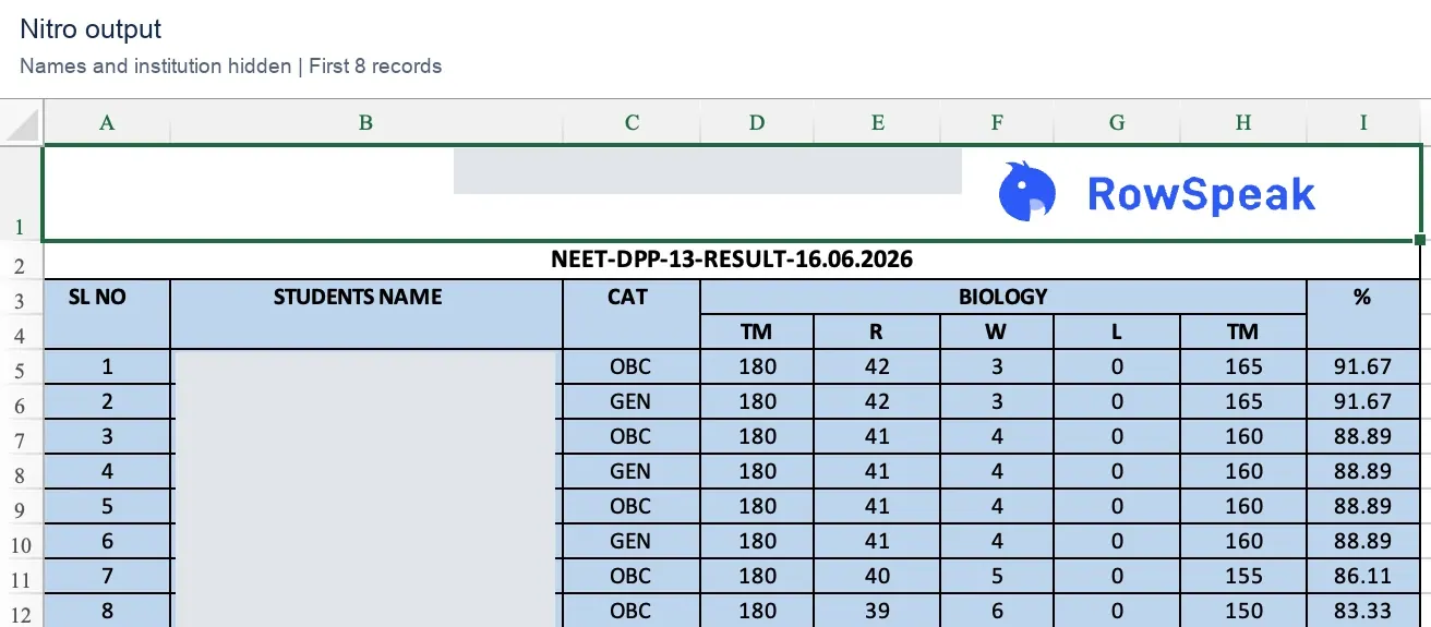Nitro Excel output with retained logo and blue table styling but changed text layout Nitro Excel output with retained logo and blue table styling but changed text layout