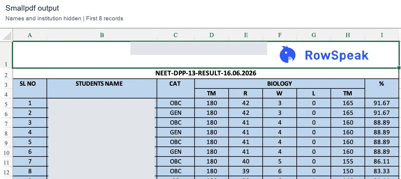 Smallpdf Excel output retaining the logo, shading, and nine-field table structure Smallpdf Excel output retaining the logo, shading, and nine-field table structure