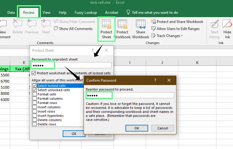 Protect the sheet with a password in excel 2
