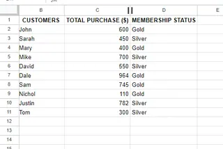 a table with customers' details. 14