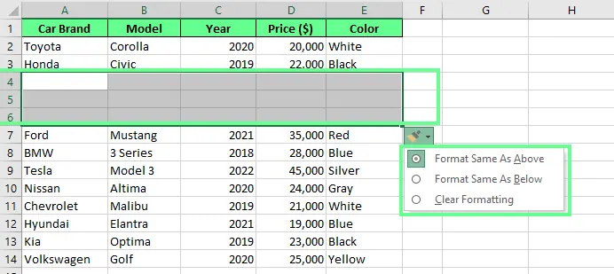 Nuevas filas son agregadas usando la opción de insertar en Excel. 2