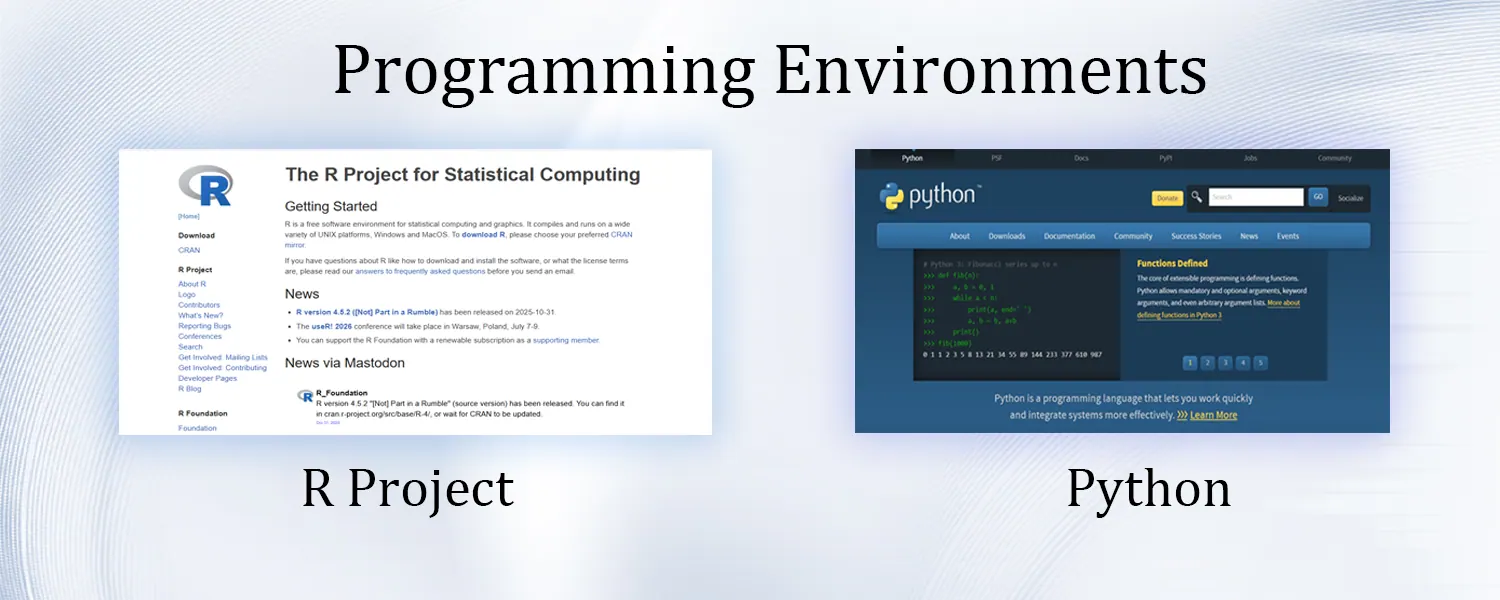 Programming Environments
