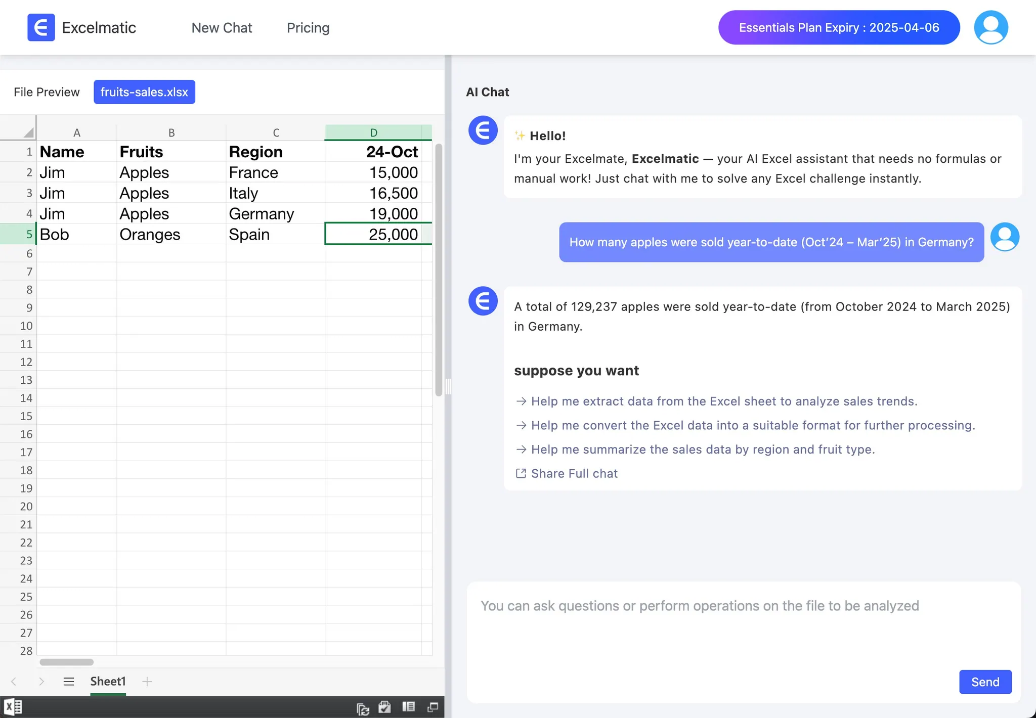 The RowSpeak Way: Effortless Sales Data Insights