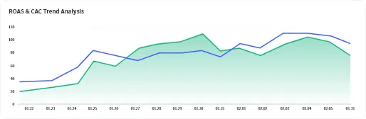 ROAS トレンド分析