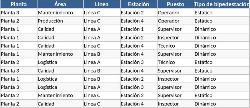 Ley Silla Compliance and Workstation Risk Assessment Template