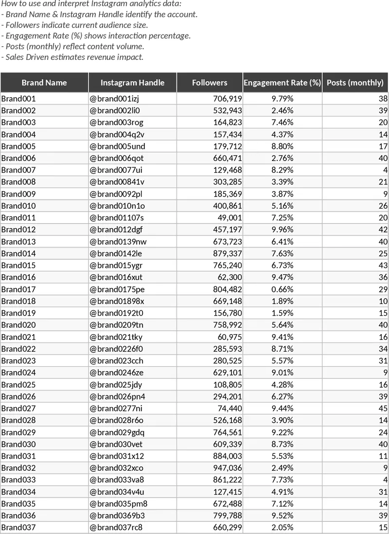 Instagram 電商營運管理 模板