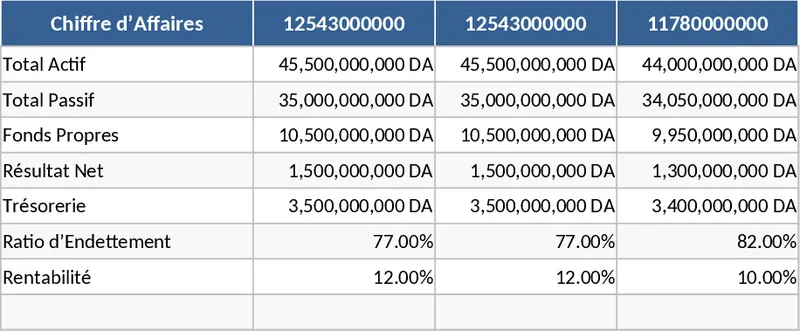阿爾及利亞 SCF 綜合財務分析系統 模板