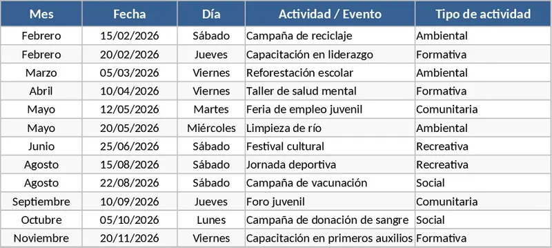 青年議會立法青年志工計畫活動規劃與管理 模板