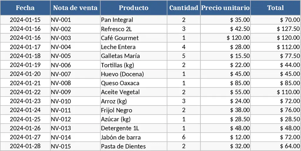 Plantilla Punto de Venta Profesional Plantilla