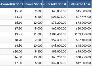 簡易損益影響表 模板