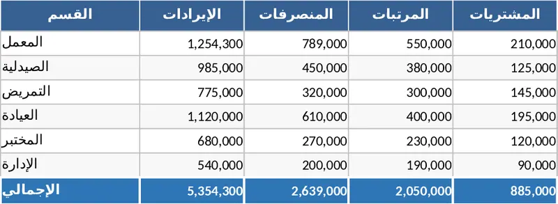 Al-Sharqi 健康中心多部門綜合財務帳務管理 模板