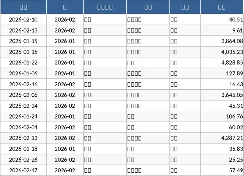 個人收支預算管理與視覺化儀表板 模板