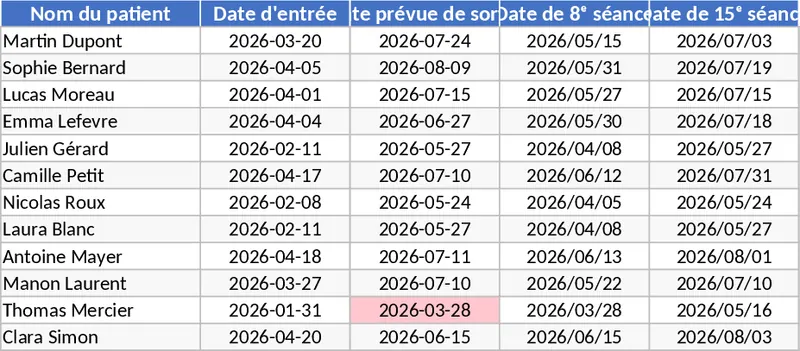 환자 관리 및 진료 일정 템플릿