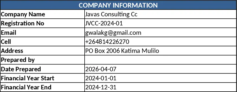 Javas Consulting 完整財務報表 模板