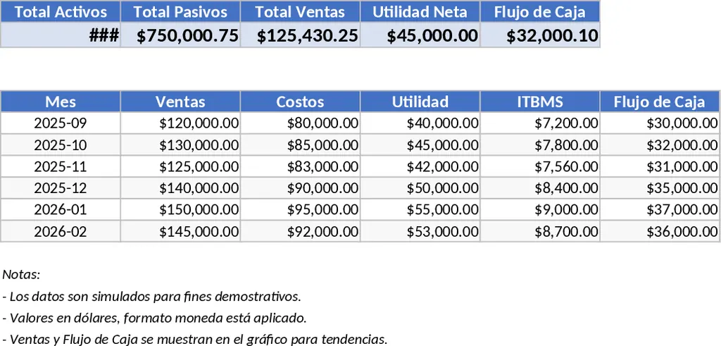 전문 비즈니스 회계·보안 재무 보고 템플릿