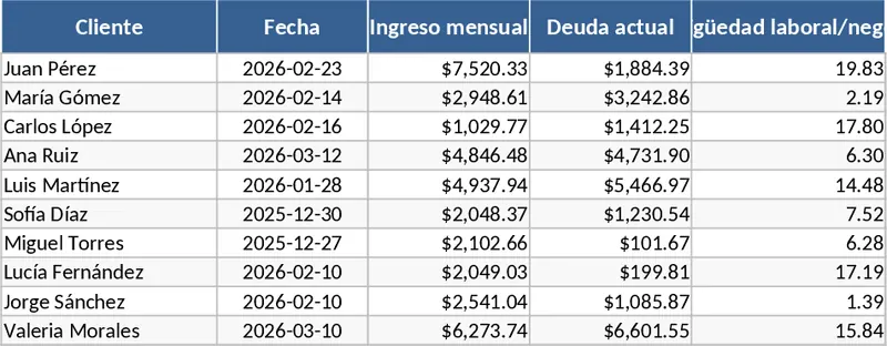 전문 신용 위험 점수·대출 적격성 템플릿