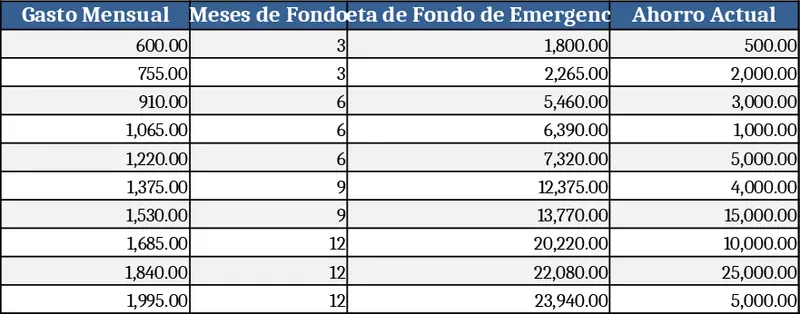 Personal Finance & Emergency Fund Calculator Template