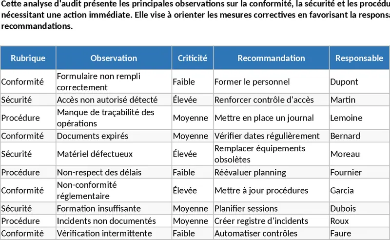 전문 감사 보고서 및 차트 템플릿